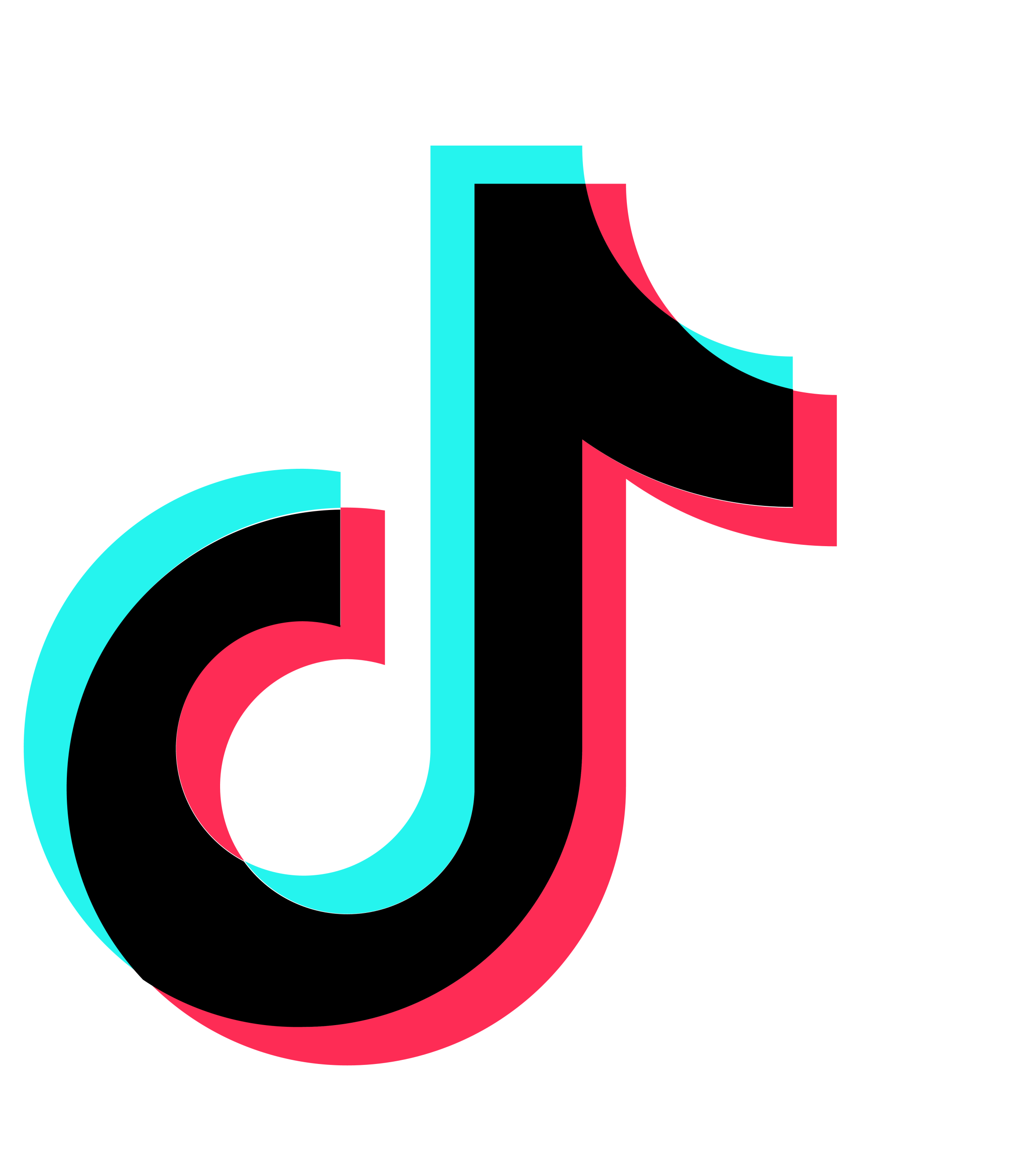 TikTok Pixel